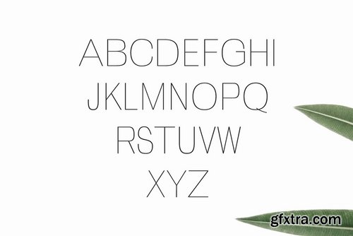 CM - Zevida Sans Serif Font Family 2410076