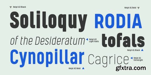 Kelpt Font Family - 54 Fonts