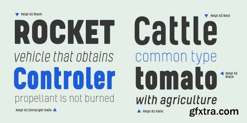 Kelpt Font Family - 54 Fonts