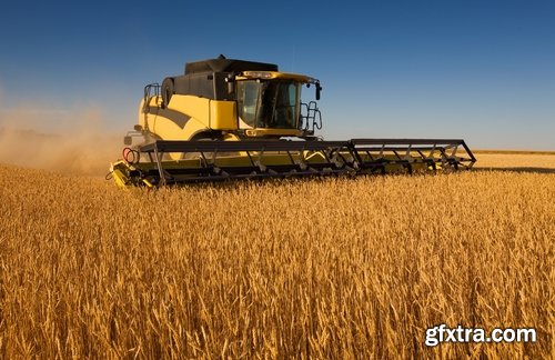 Combine tractor harvesting field of agricultural crop harvester 25 HQ Jpeg