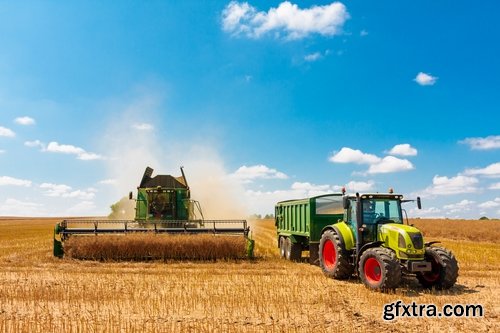 Combine tractor harvesting field of agricultural crop harvester 25 HQ Jpeg