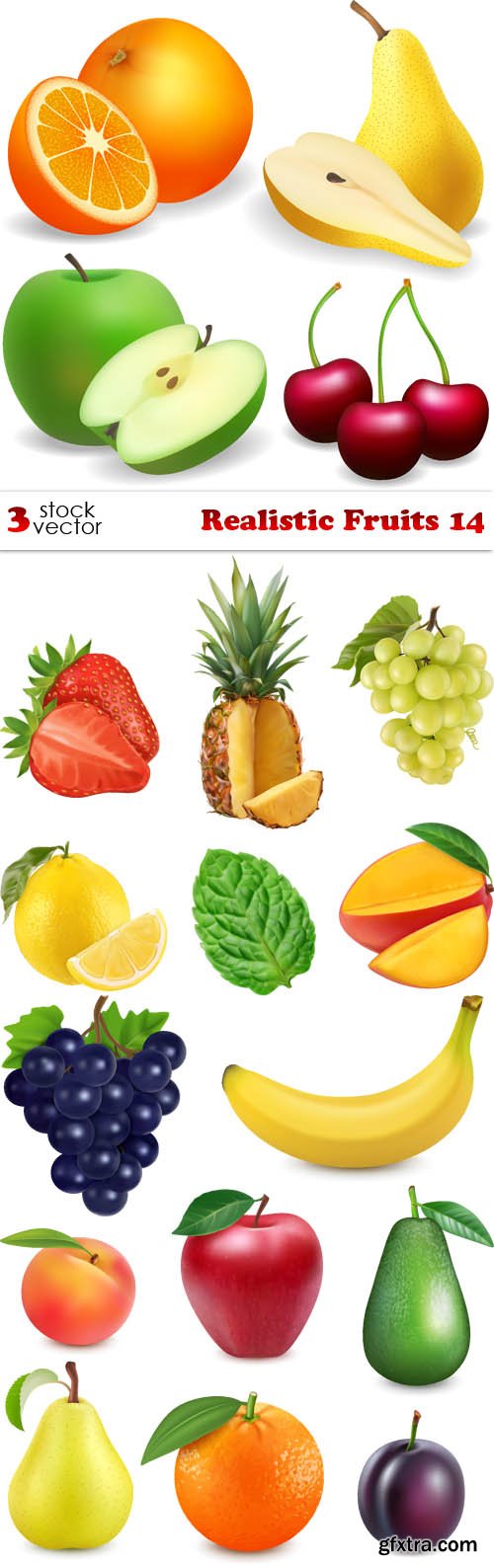 Vectors - Realistic Fruits 14