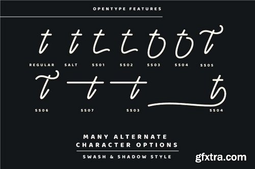 CreativeMarket Orchestra Script - Monoline Typeface 2721725