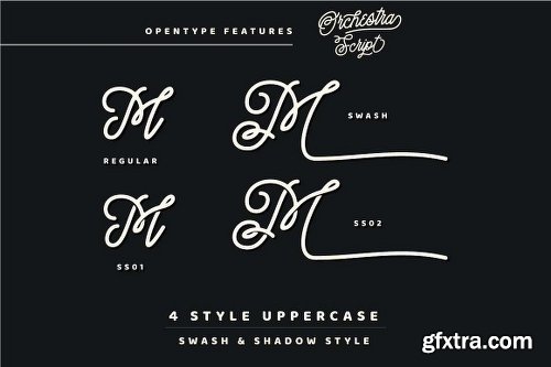 CreativeMarket Orchestra Script - Monoline Typeface 2721725