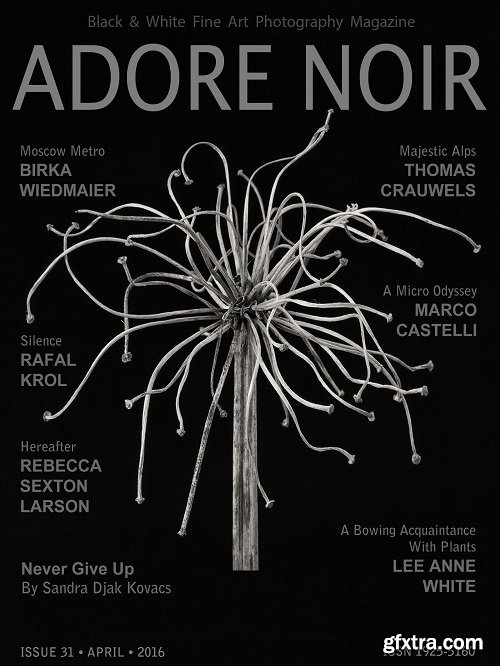 Adore Noir - ISSUE 31