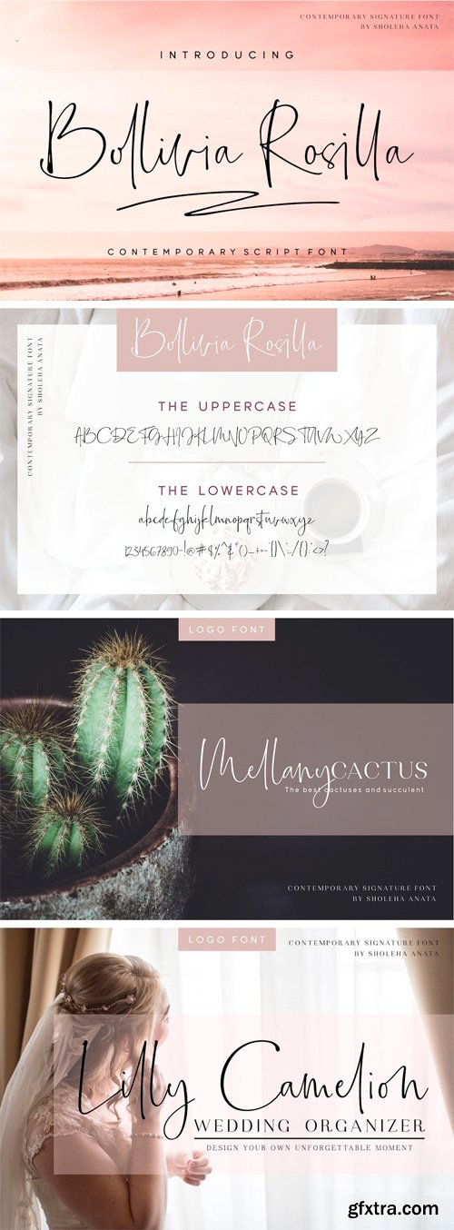 Bollivia Rosilla Script Font