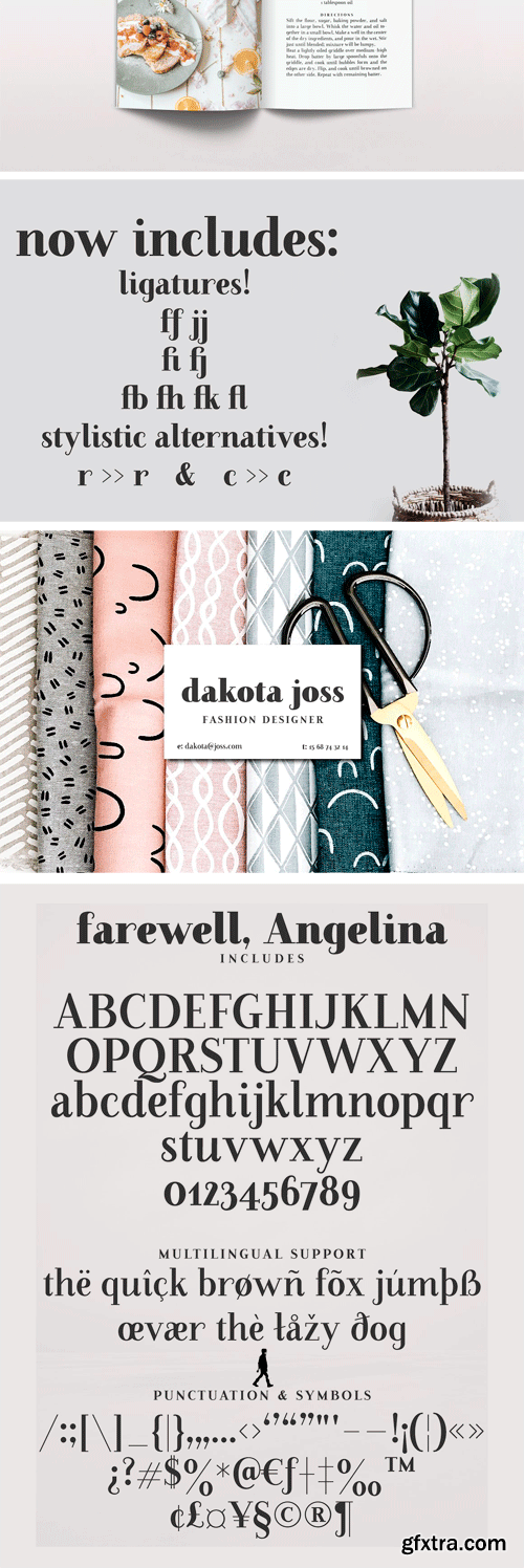 CM - Farewell Angelina Display Font 2521420