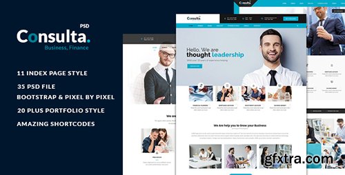 ThemeForest - Consulta - Multi-Purpose Business & Financial PSD Template 16828542