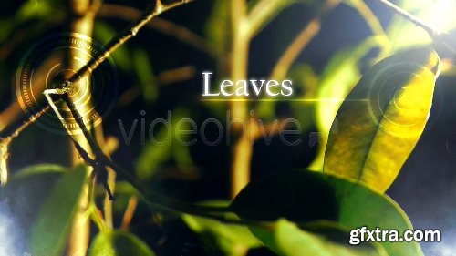 Videohive Leaves - Relaxing Photo and Video Display 5193297