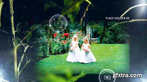 Videohive Leaves - Relaxing Photo and Video Display 5193297