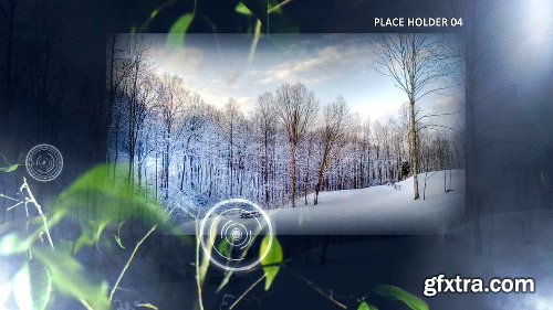 Videohive Leaves - Relaxing Photo and Video Display 5193297