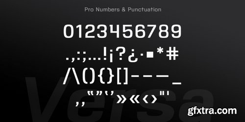 VersaBlock Pro Font Family - 10 Fonts