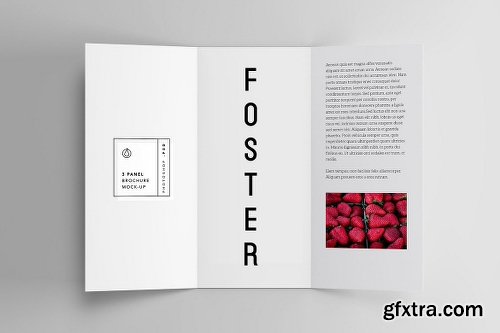 CreativeMarket FOSTER - Amazing Display Typeface 2802066