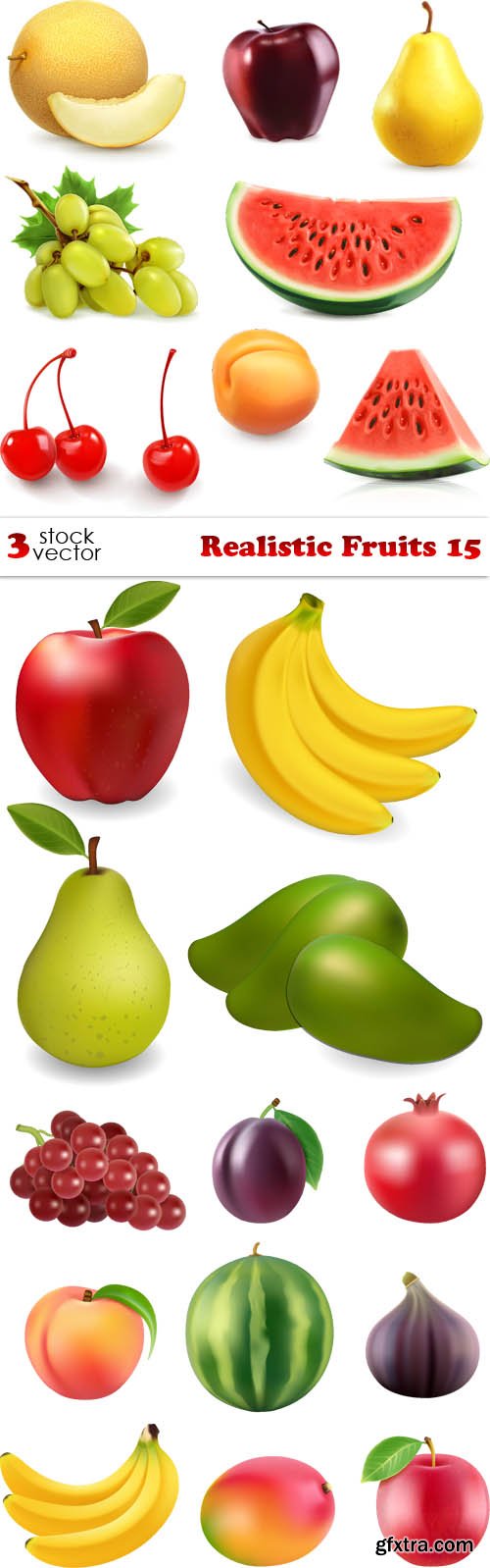 Vectors - Realistic Fruits 15