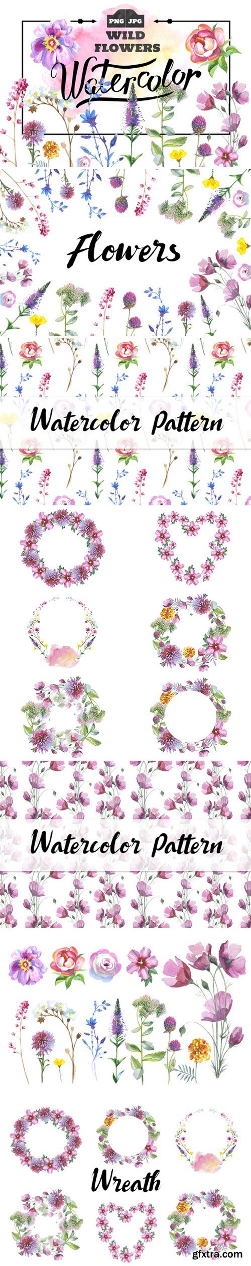 Wild Flowers watercolor PNG set