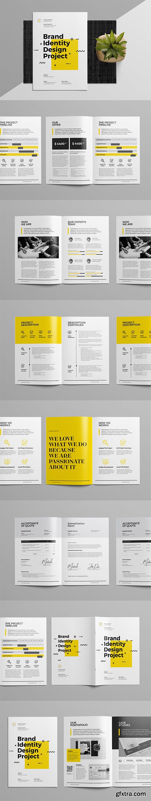 Brand Identity Proposal