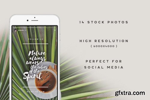 CreativeMarket Coffee Garden Photo Bundle 1884717