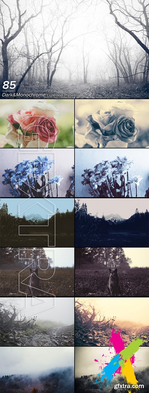 85 Dark & Monochrome Lightroom Presets