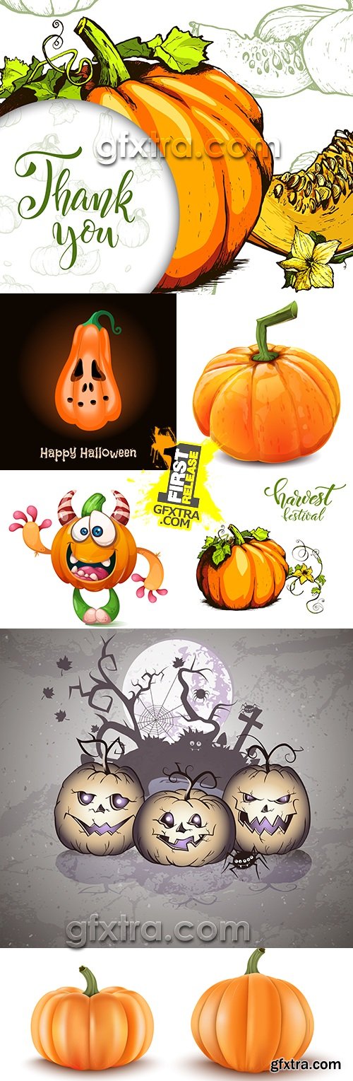 Pumpkin autumn ripe vegetable cartoon collection illustrations