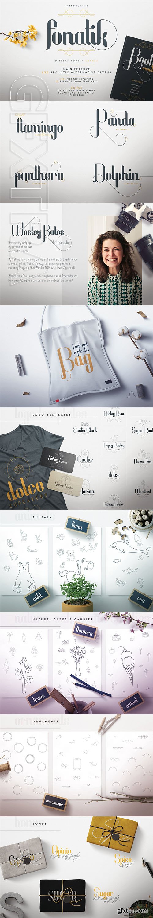 CreativeMarket - Fonatik Display font + Extras 2883460