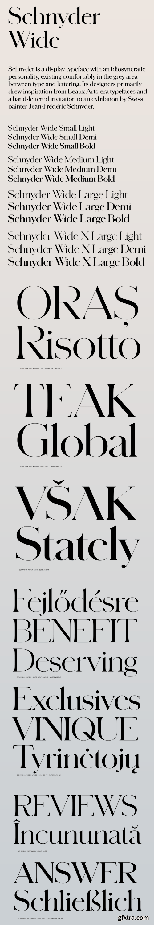 Schnyder Wide Font Family