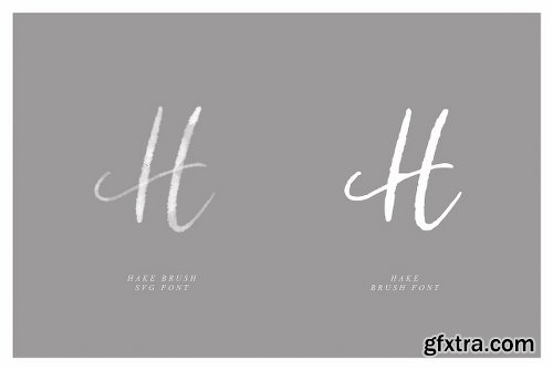 CreativeMarket Hake Brush SVG Script 2798500