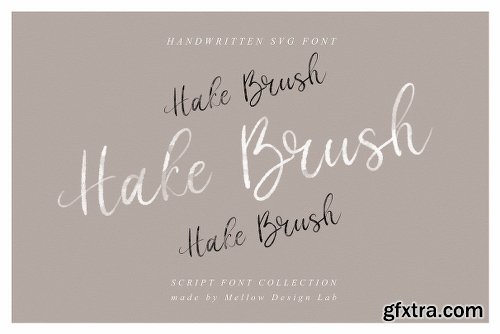 CreativeMarket Hake Brush SVG Script 2798500