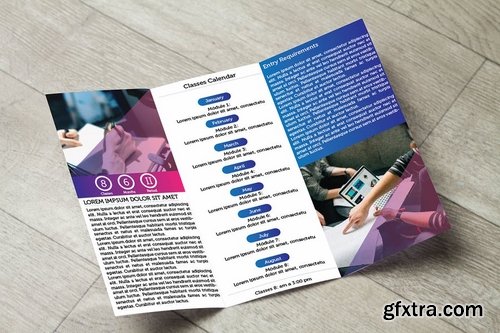 Trifold Mock Up