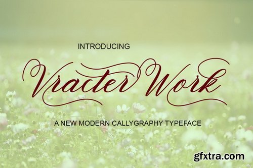 Vracter Work Font Family