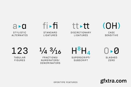 CreativeMarket Config Complete Font Family 2894268 - 40 FONTS