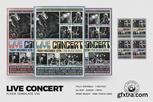 Live Concert Flyer Template V10