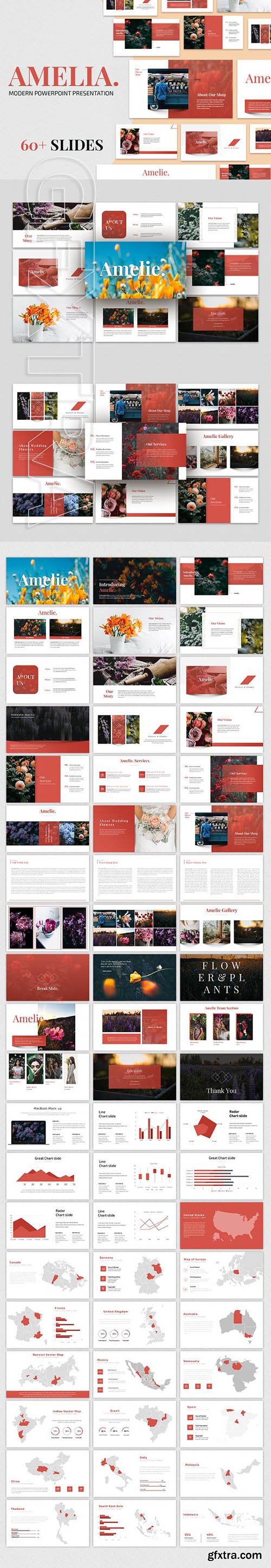 CreativeMarket - AMELIA - Modern Powerpoint Template 2868665