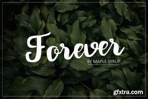 Forever Script Font