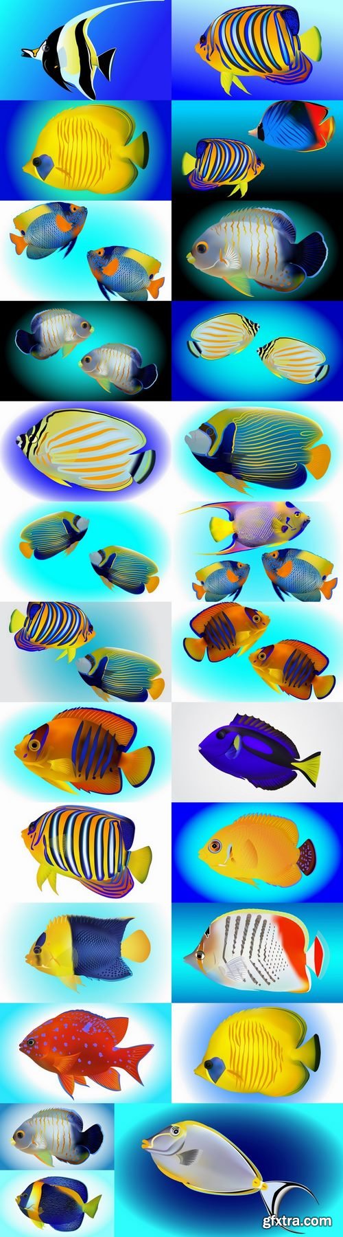 Fish sea animal multicolored skin leather fin 25 EPS