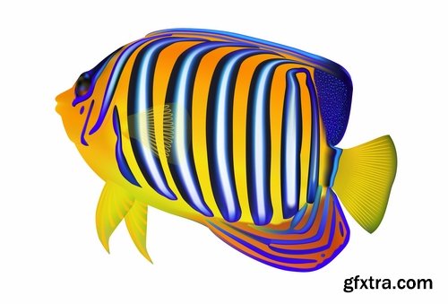 Fish sea animal multicolored skin leather fin 25 EPS