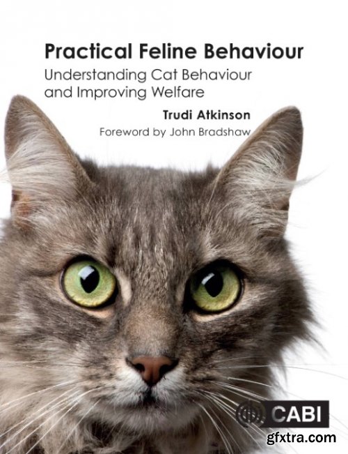 Practical feline behaviour: understanding cat behaviour and improving welfare