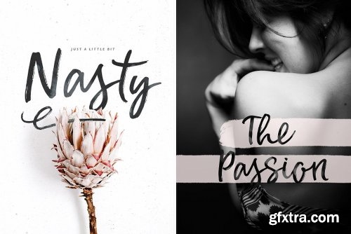 CreativeMarket Dusty Rose Font 2569117