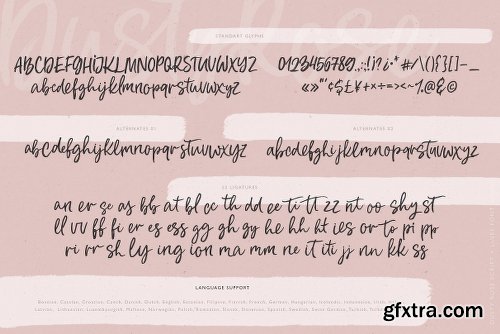 CreativeMarket Dusty Rose Font 2569117