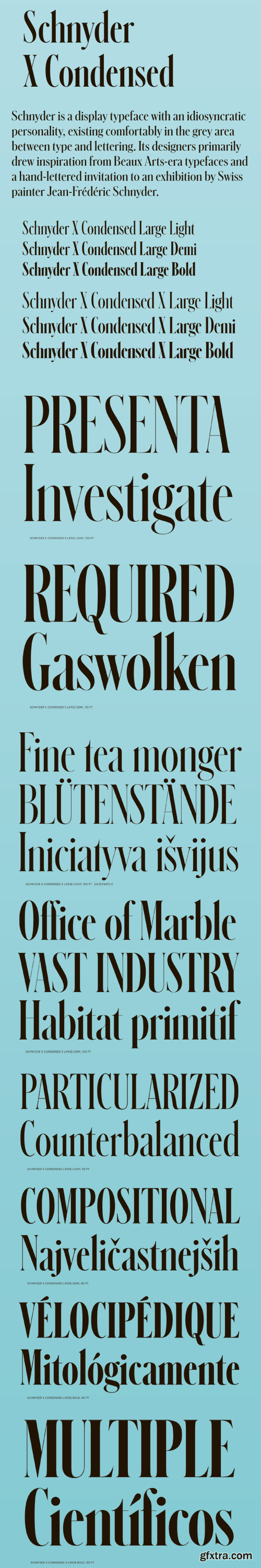 Schnyder X Condensed Font Family