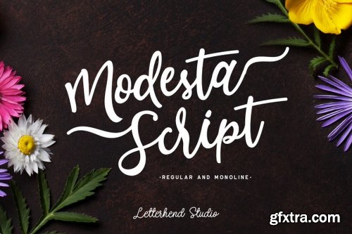 123 Best-Selling Fonts & 552 Premium Graphics and Logos