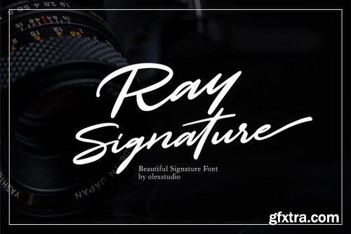 CreativeMarket Ray Signature 2906703
