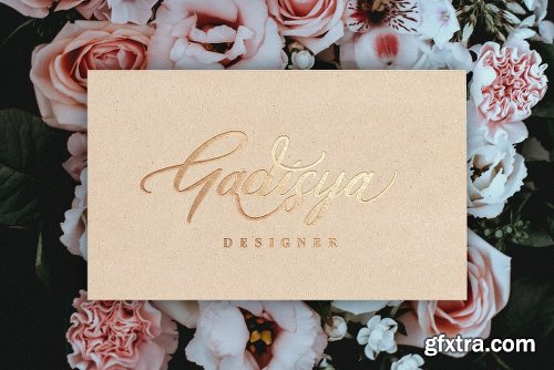 CreativeMarket La Maison Script 2812554