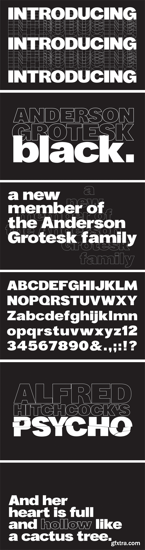 Anderson Grotesk Black Typeface