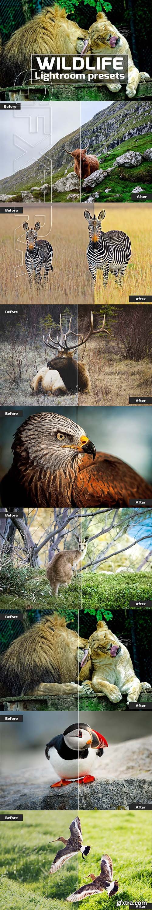 CreativeMarket - Wildlife Lightroom Presets 2538578