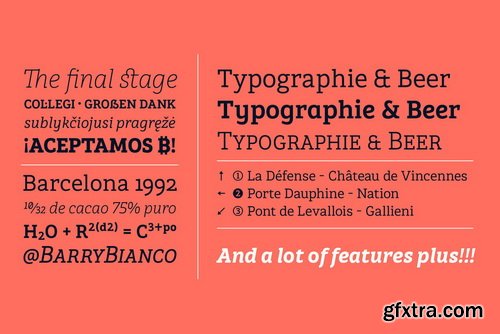 Brava Slab Font Family