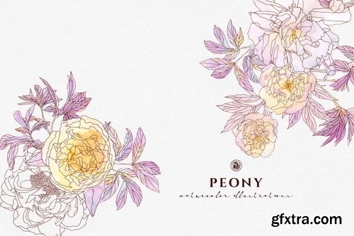 Peony Flowers