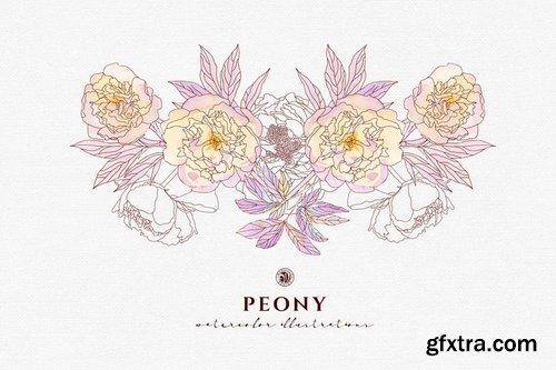 Peony Flowers