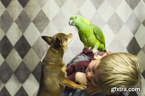 Pets pet dog cat animal bird 25 HQ Jpeg