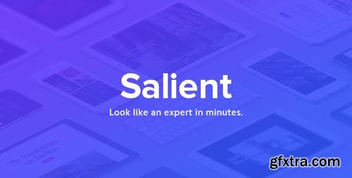 ThemeForest - Salient - Responsive Multi-Purpose Theme V.9.0.1 - 4363266