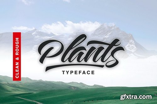 Plants Font Family